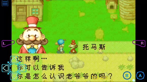 牧场物语矿石镇的伙伴们安卓