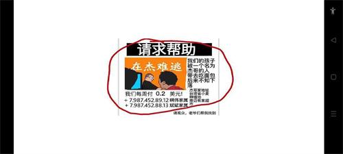 小猪佩奇的午夜后宫杰哥版