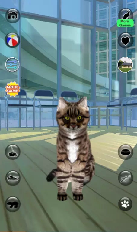 会说话的现实猫手游