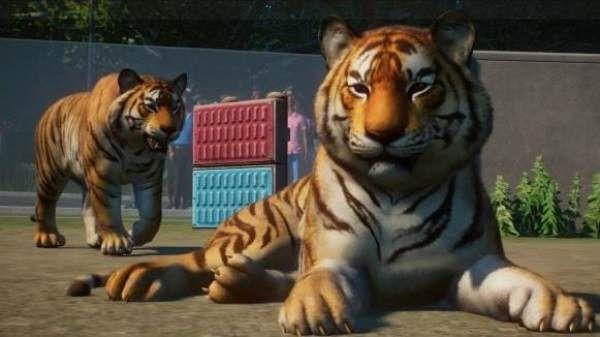 动物园之星手机版中文