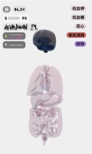 life生命模拟器最新版