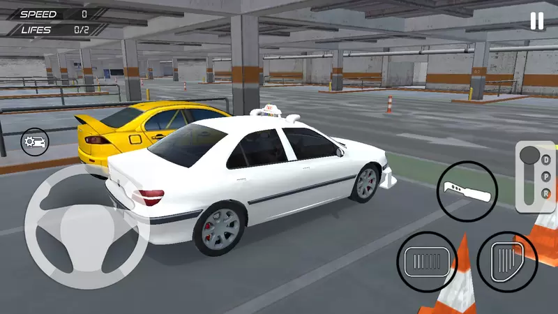 出租车驾驶和比赛