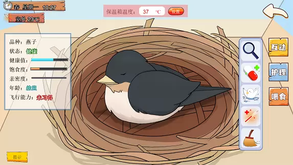 鸟巢正式版最新版