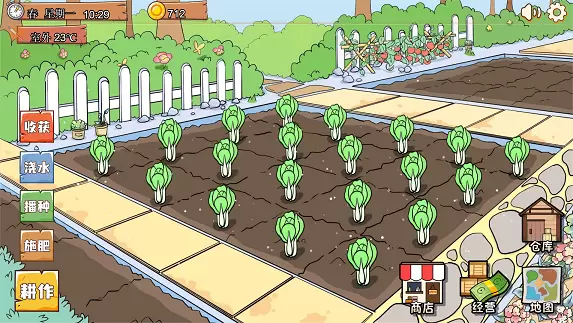 鸟巢正式版最新版