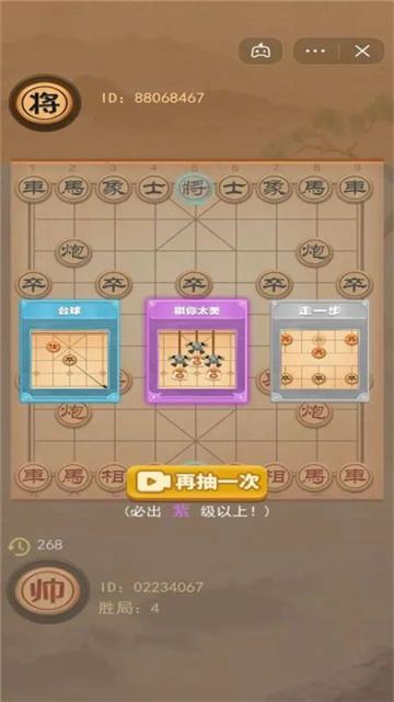 像棋的象棋