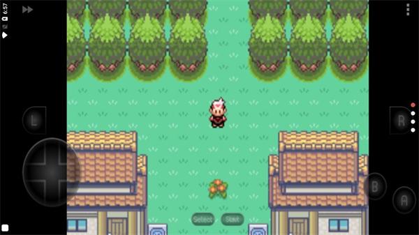 口袋妖怪究极绿宝石4小智版