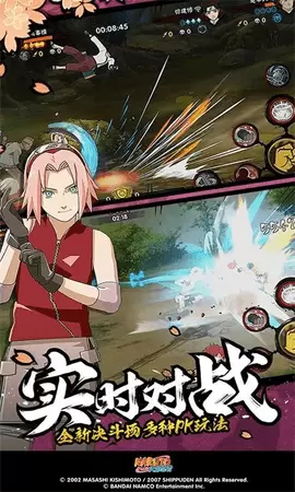 火影忍者命运的抉择安装