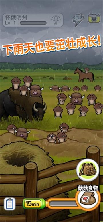 菇菇栽培研究室