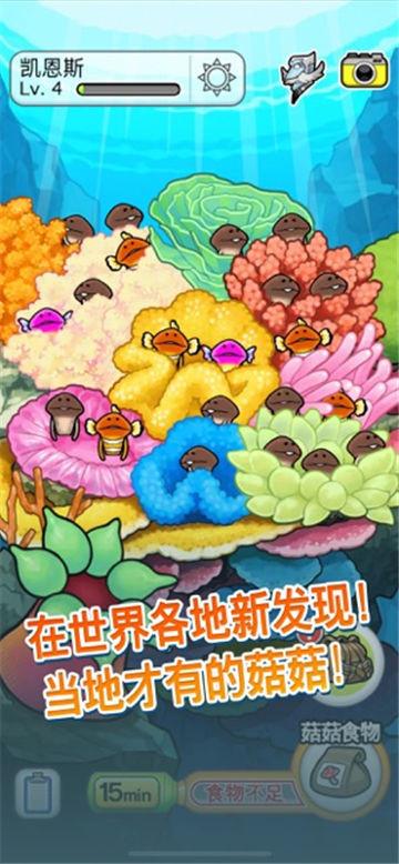 菇菇栽培研究室