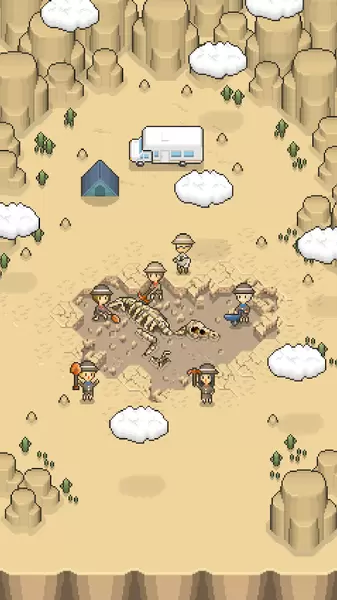 我的化石博物馆