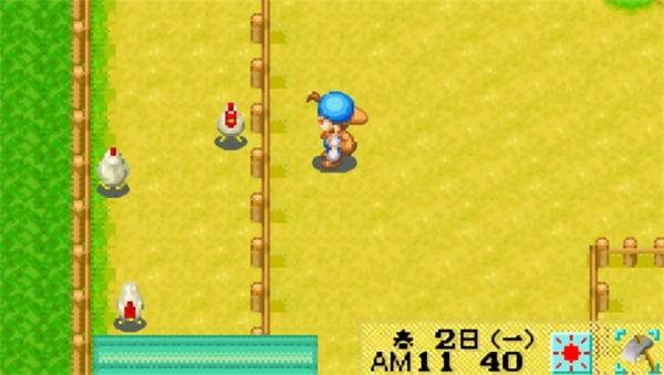 牧场物语女孩版下载