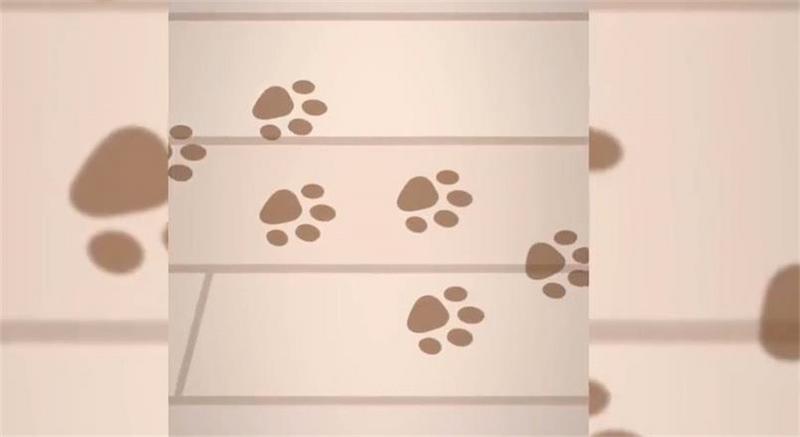 托卡世界宠物屋