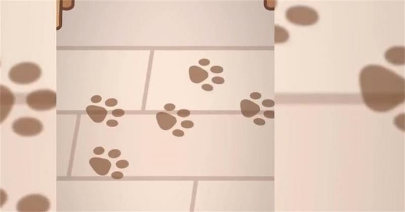 托卡世界宠物屋