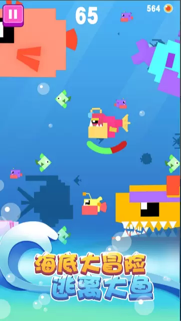 大鱼小鱼大作战