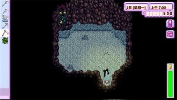 星露谷物语枫姨