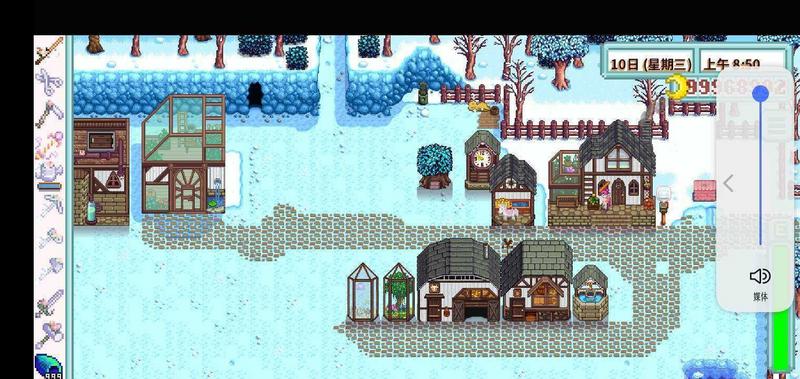 星露谷物语枫姨