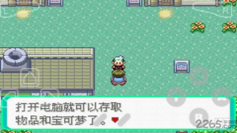 口袋妖怪绿宝石随机精灵