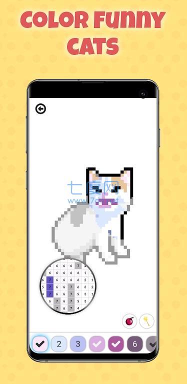傻猫按数字着色SillyCatsC