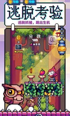 咕咕鸡向上冲游戏