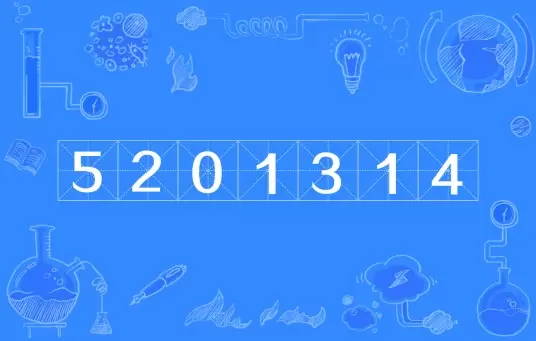 网络用语5201314是什么梗