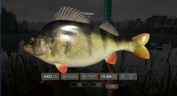 俄罗斯钓鱼4汉化版