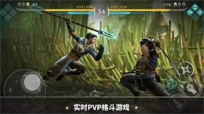 暗影格斗传奇战场红宝石