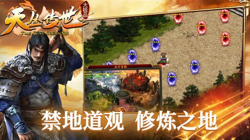 天丛传世大极品