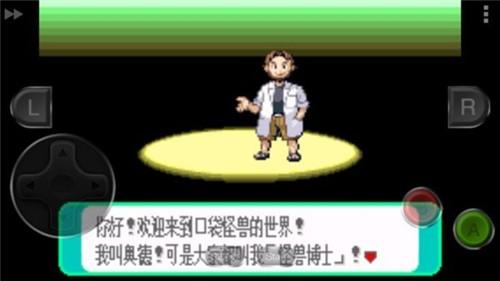 宠物小精灵绿宝石下载