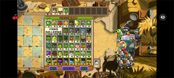 植物大战僵尸混乱时空之旅