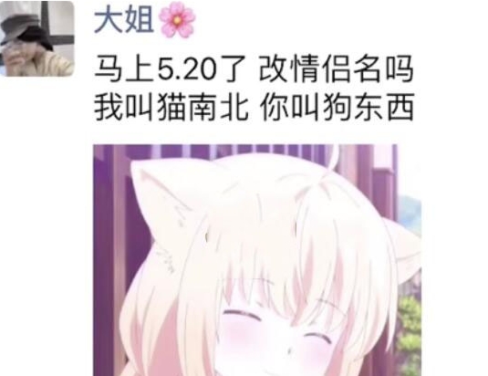 猫南北狗东西是什么梗网络用语