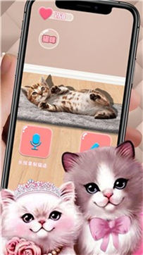 动物语言翻译模拟器