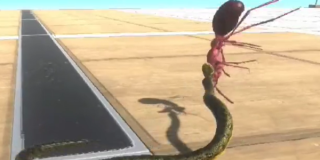 动物世界战争最新版