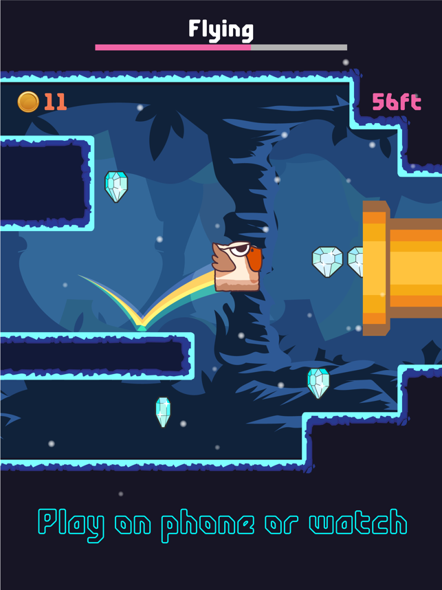 ‎Bird Watch Game: learn to flap