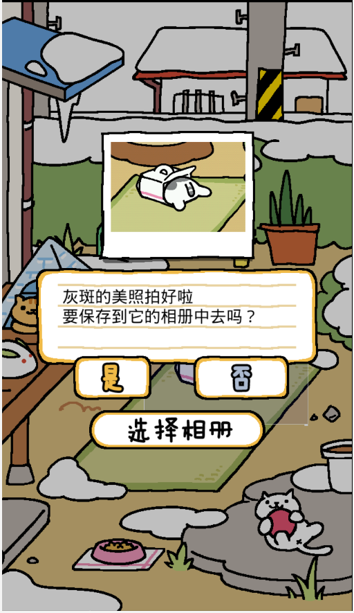 猫咪后院2