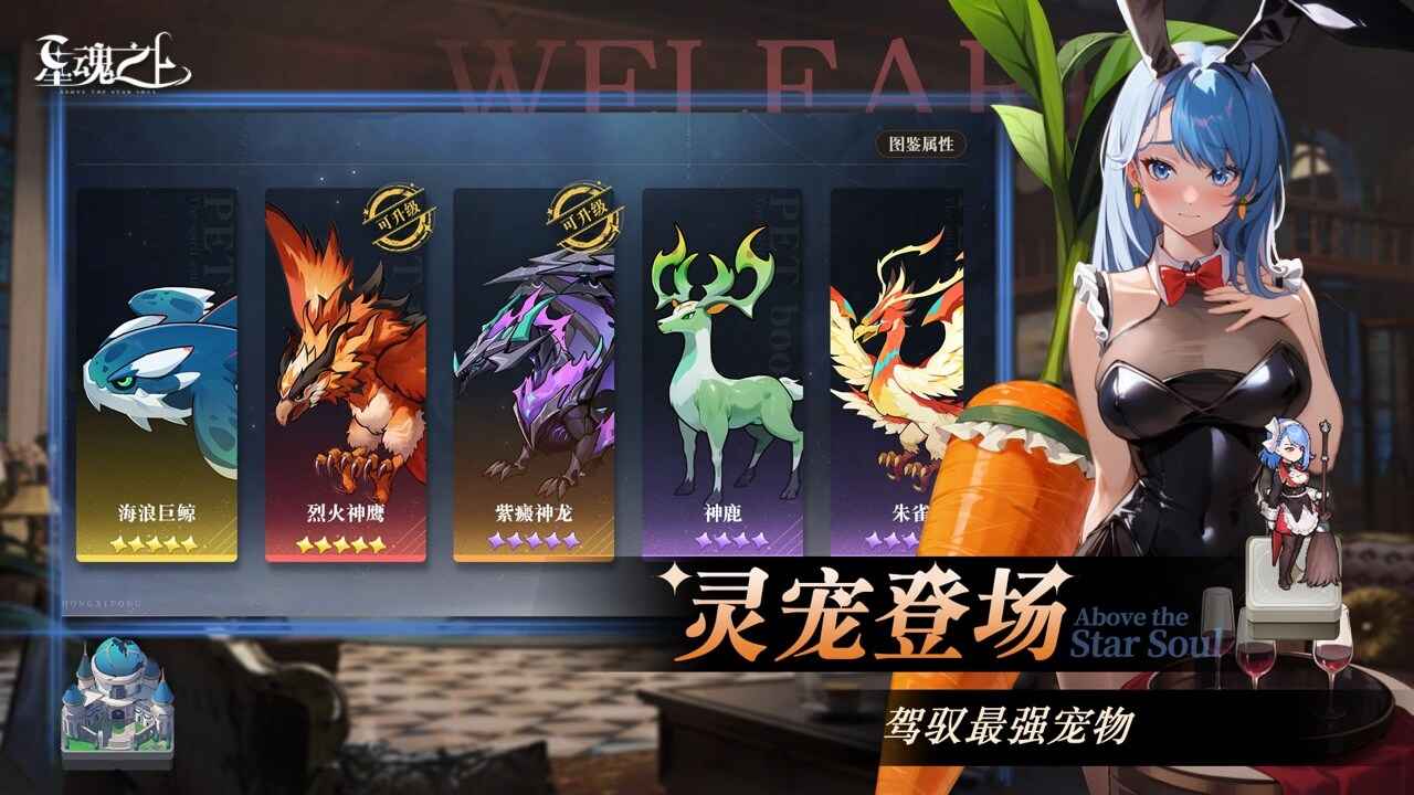 星魂之上官网版