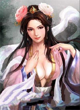 三国志13威力加强版