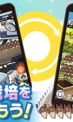 菇菇栽培研究室 安卓版