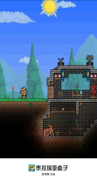泰拉瑞亚盒子 游戏助手