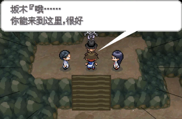 口袋妖怪超透黑2