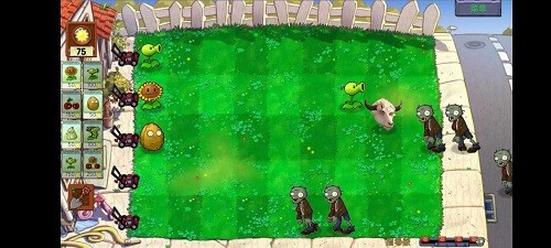 植物大战僵尸指导版 经典版