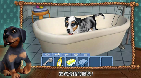 狗狗世界我的小狗