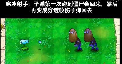 植物大战僵尸吃席版 手机版