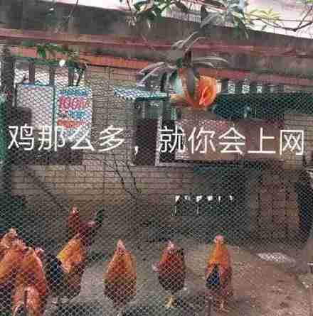 这幅画名字叫我在食堂找不到位置表情包