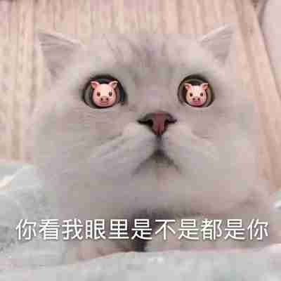 这幅画名字叫我在食堂找不到位置表情包