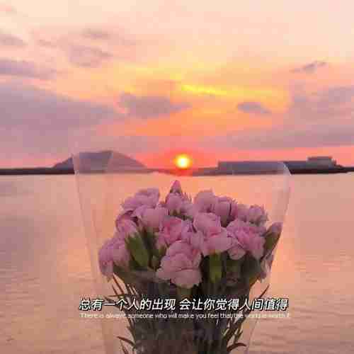 别问我为什么那么严肃因为我最近在和生活单挑图片