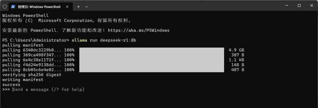 DeepSeek如何接入本地？详细操作教程-DeepSeek本地操作指南