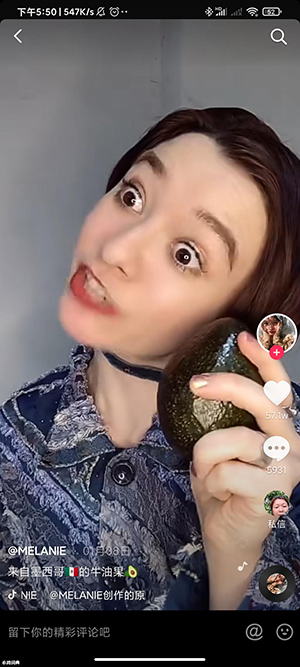 墨西哥牛油果是什么梗