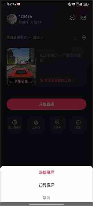 快手直播伴侣怎么投屏