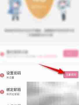 哔哩哔哩漫画怎么设置密码 哔哩哔哩漫画设置密码教程