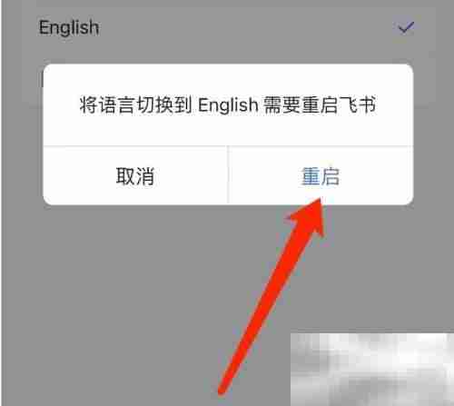 飞书如何切换语言 飞书切换语言教程